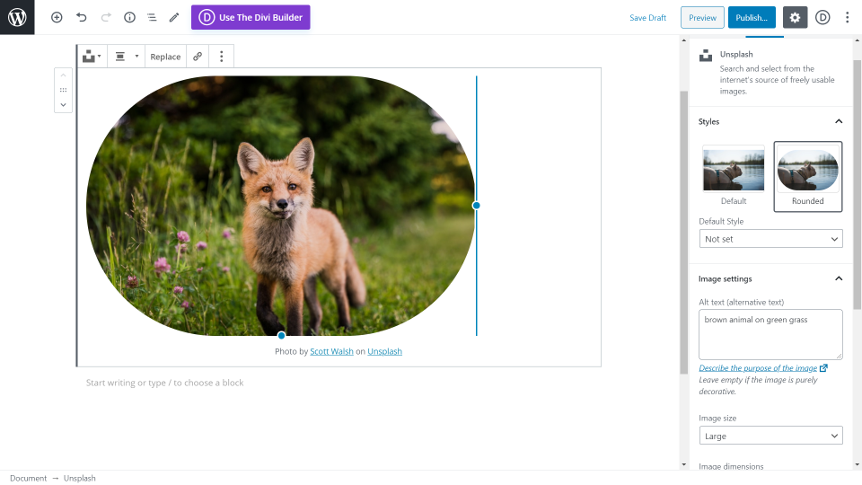 Unsplash con Gutenberg