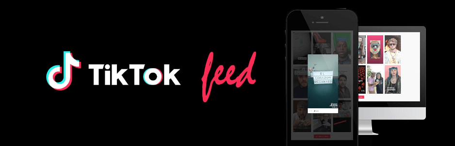 Complemento de alimentación WP TikTok.