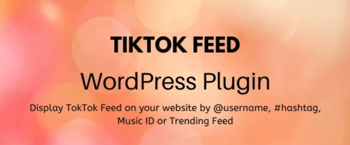 Complemento de WordPress de TikTok.