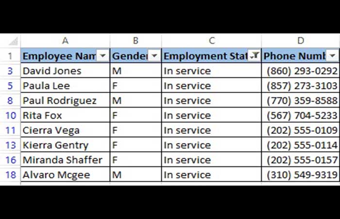 Uso de filtros para ocultar filas en Excel