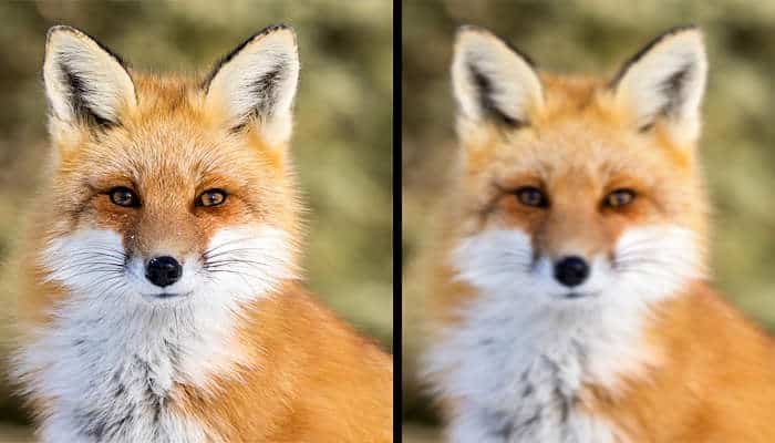 Cómo Mejorar Videos Borrosos