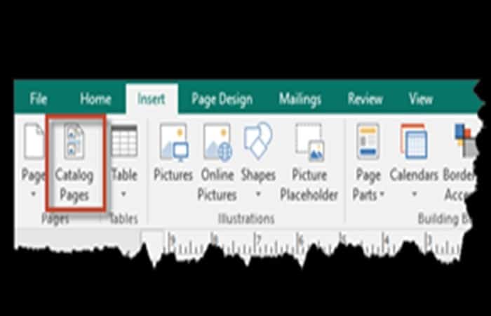 Cómo Crear Un Catálogo En Publisher – Guía Completa