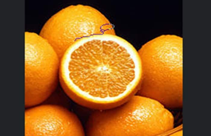 Cómo usar la herramienta Lazo en Photoshop