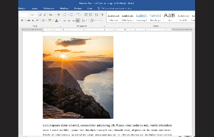 Cómo Insertar Una Imagen En Word MS 