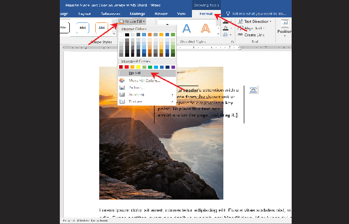 Relleno de forma y elige Sin relleno