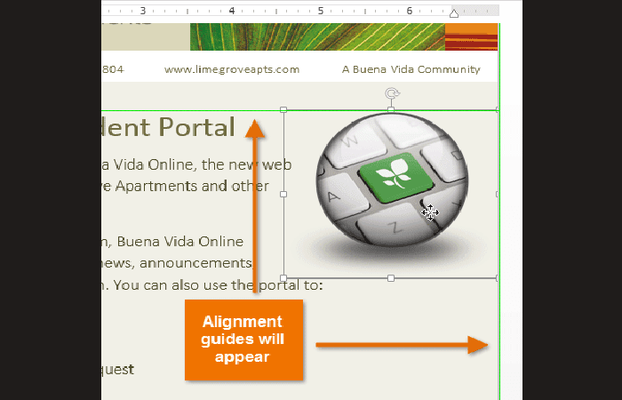 guías de alineación