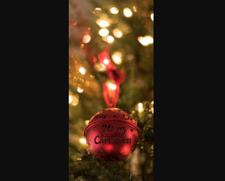 foto de navidad 7 Navidad 7