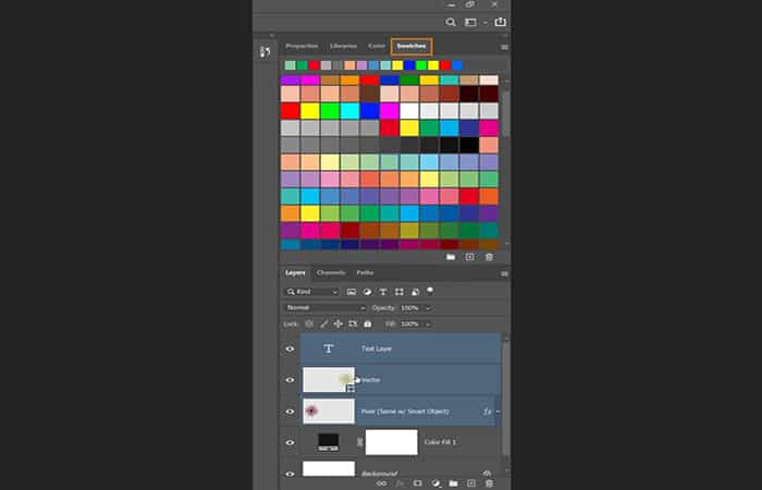 capa de Texto, la capa de Vector, la capa de Píxeles