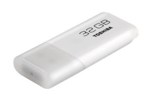 Tecla Kingston DataTraveler 100