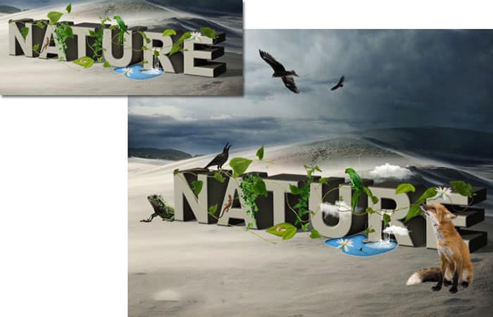 Capa / Rasterización / 3D