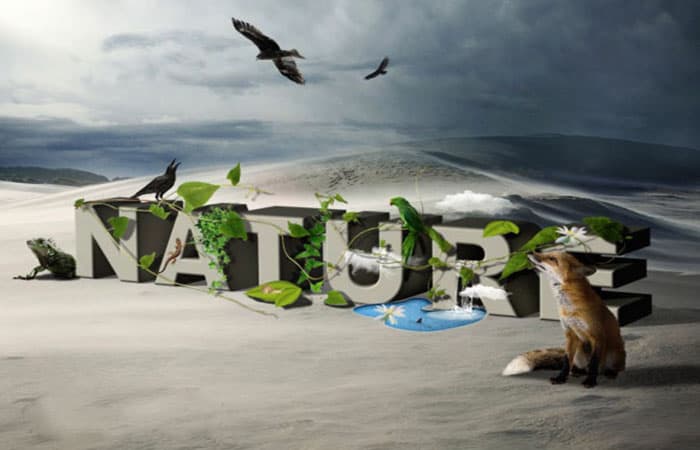 Ajustes / Brillo y Contraste