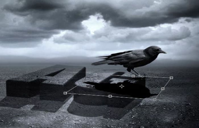 Editar / Transformación / Simetría del eje vertical