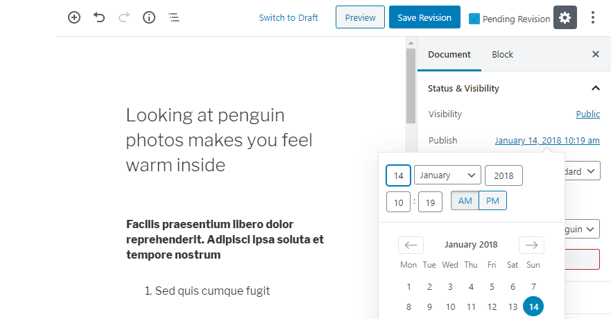 Establecer una fecha de publicación futura.