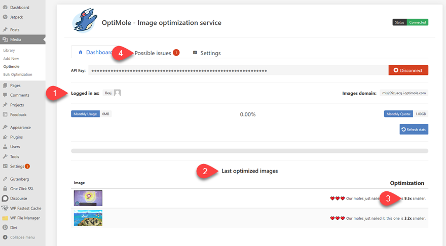 Uso de imágenes WebP con WordPress