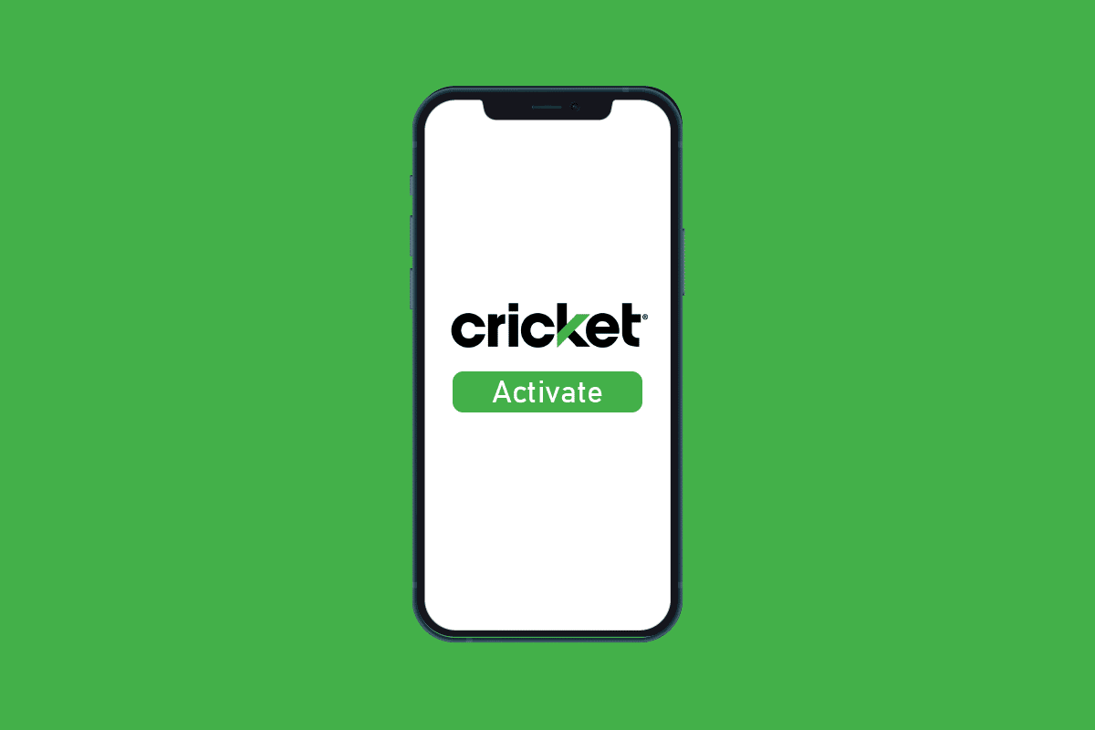 c-mo-activar-cricket-en-el-tel-fono-recurso-wordpress