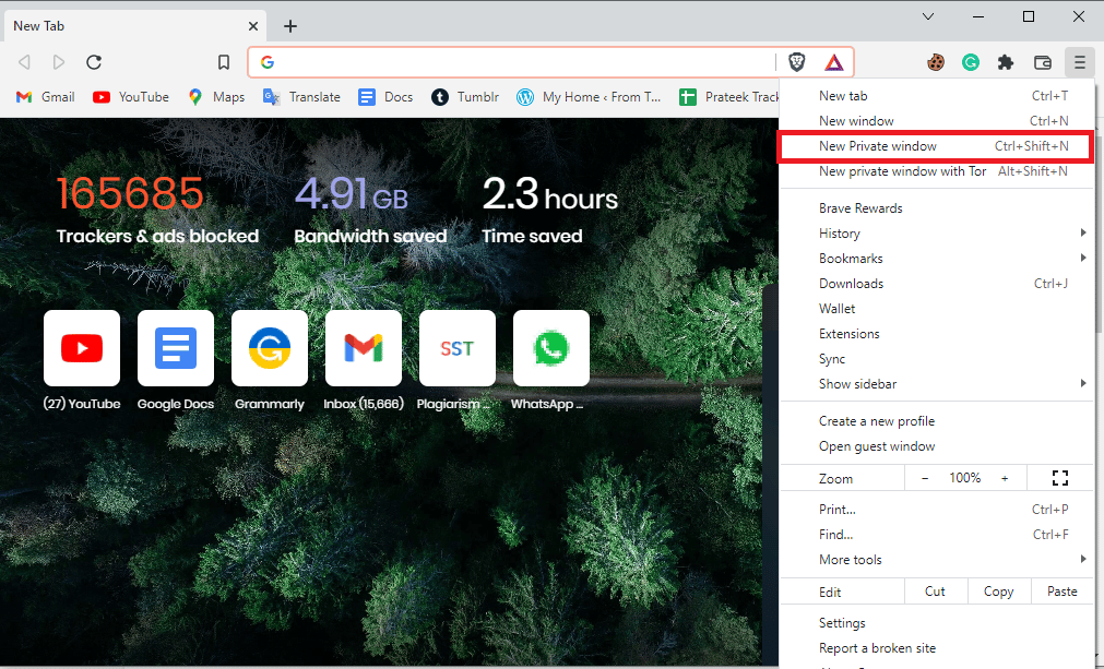 Haz clic en Nueva ventana privada nueva ventana de incógnito.  Arreglar el error de perfil del interruptor de Hulu