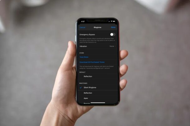 ¿Cómo silenciar un contacto en iPhone para silenciar sus llamadas, mensajes y notificaciones?