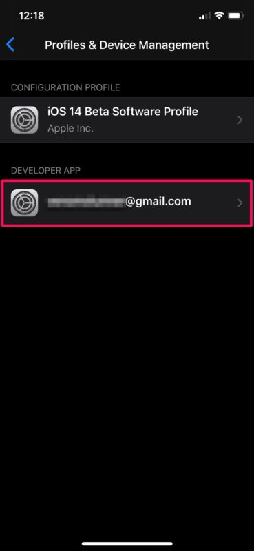 ¿Cómo instalar AltStore en iPhone y iPad?