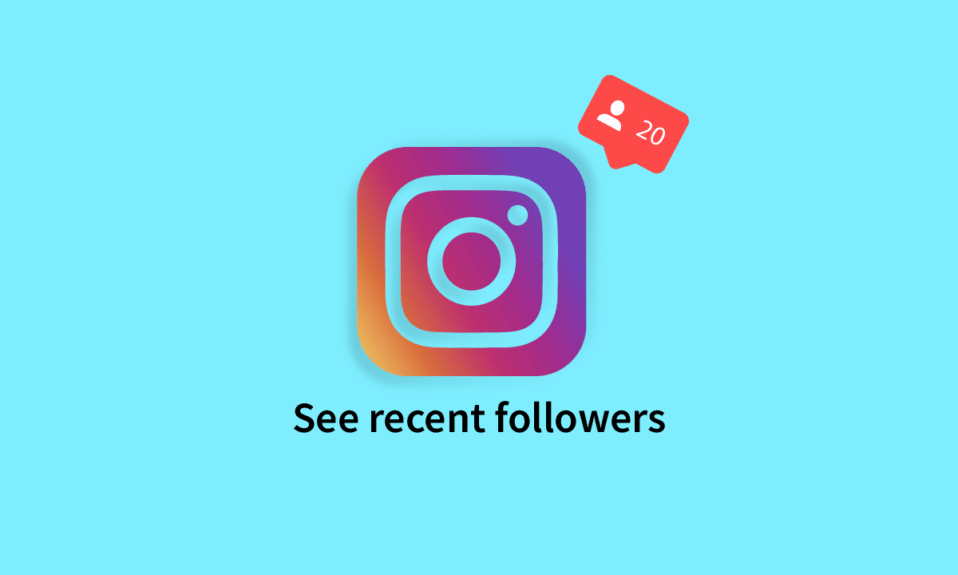 Cómo ver seguidores recientes en Instagram Recurso Wordpress