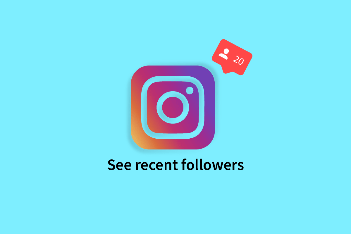 Cómo ver seguidores recientes en Instagram Recurso Wordpress