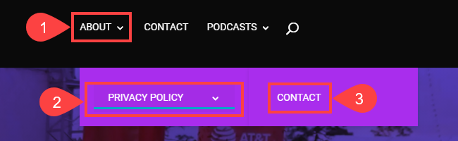 opciones desplegables en wordpress