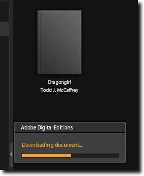 13ADE_Libro_descargar