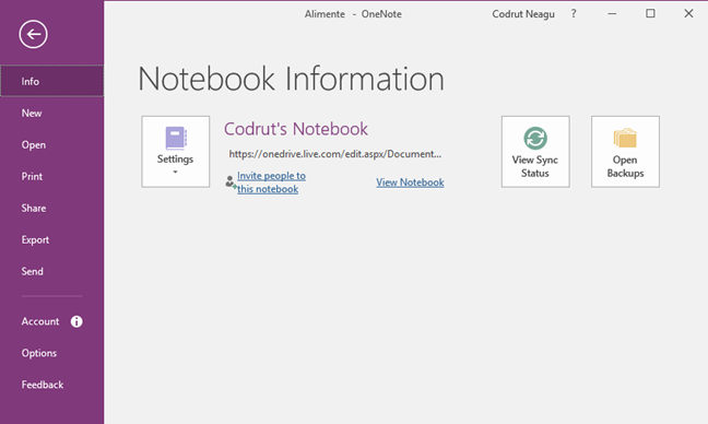 OneNote, Windows