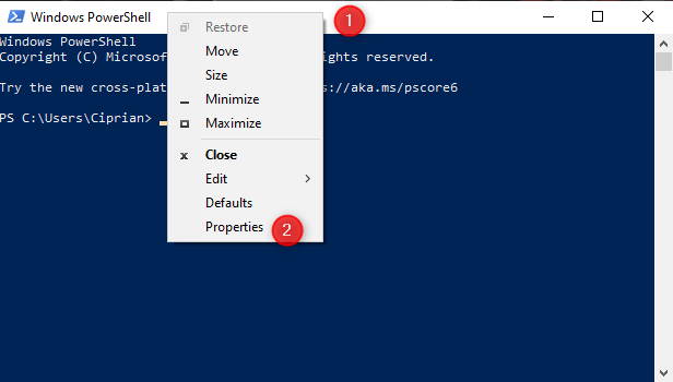 Acceder a las propiedades de PowerShell