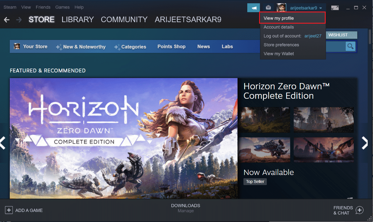haga clic en la opción ver mi perfil en la aplicación Steam