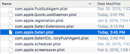 safari plist borrar
