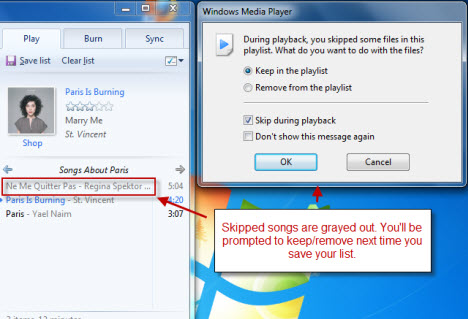 Reproductor de Windows Media 12
