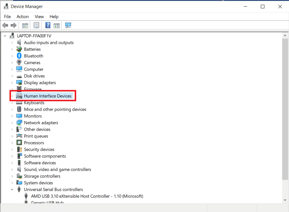 haga doble clic en Dispositivos de interfaz humana.