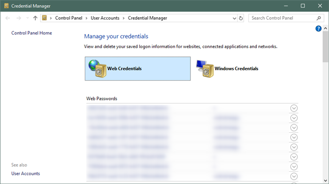 Windows Credential Manager puede exportar las contraseñas de Edge e Internet Explorer