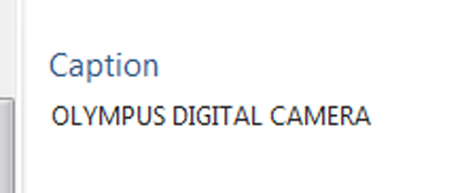 Galería de fotos de Windows, etiquetas, subtítulos, imágenes