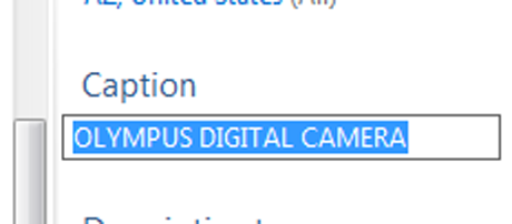 Galería de fotos de Windows, etiquetas, subtítulos, imágenes