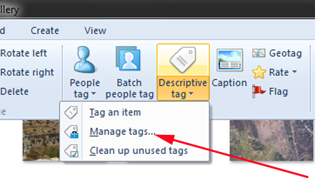 Galería de fotos de Windows, etiquetas, subtítulos, imágenes
