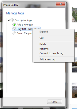 Galería de fotos de Windows, etiquetas, subtítulos, imágenes
