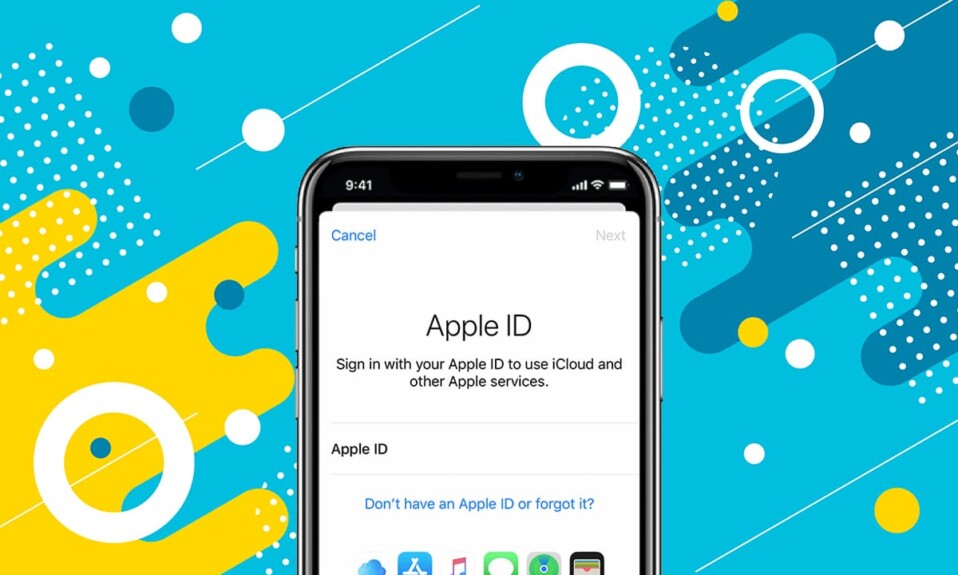 Cómo acceder a su cuenta de Apple