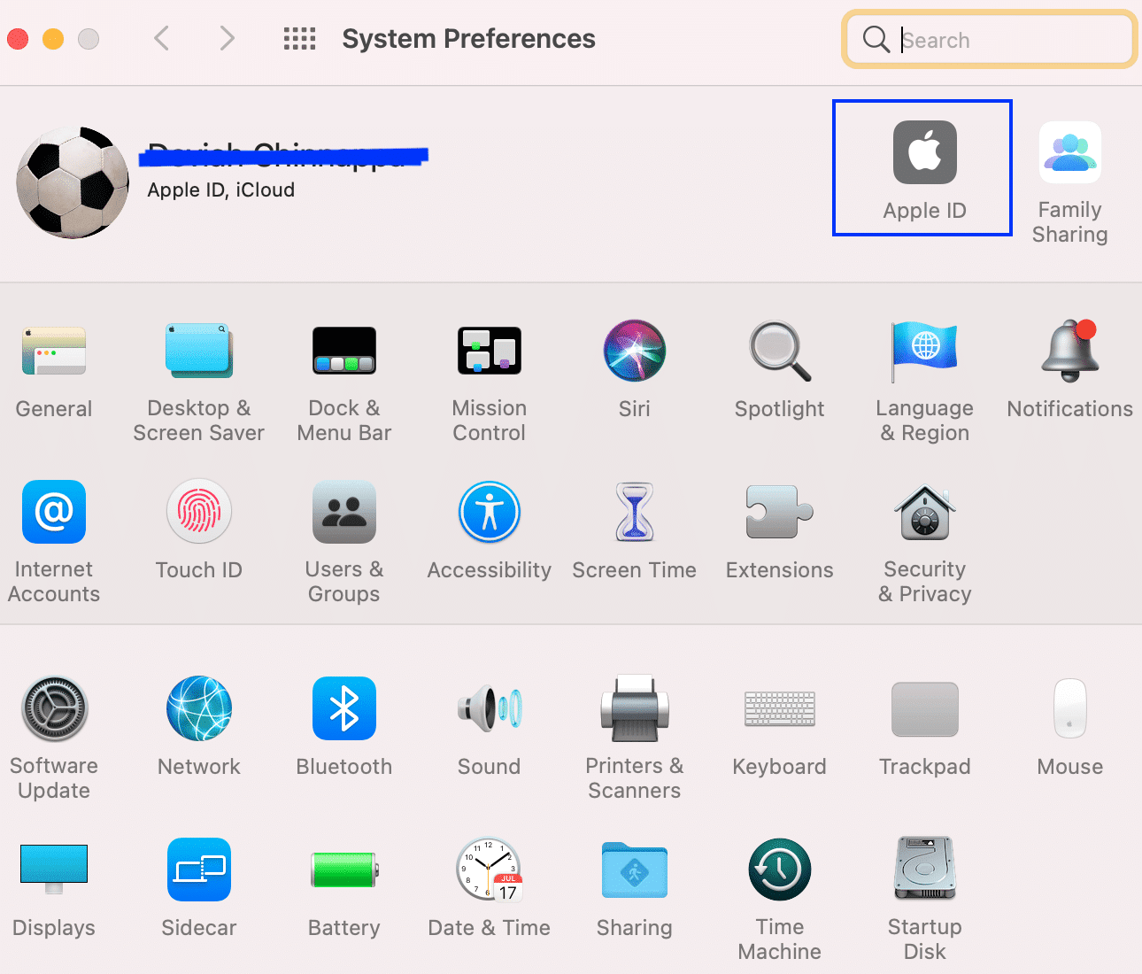 Vaya a sus Preferencias del sistema y haga clic en ID de Apple