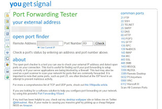 Sitio web de YouGetSignal revisa la puerta