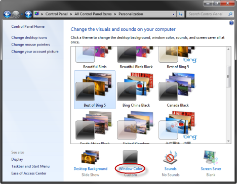 El color y la apariencia de la ventana.