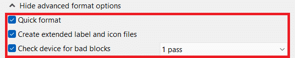 Opciones de formato avanzadas presentes en Rufus |  ¿Cómo crear una unidad USB de arranque para Windows 11?