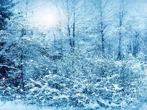 fondo de invierno-02