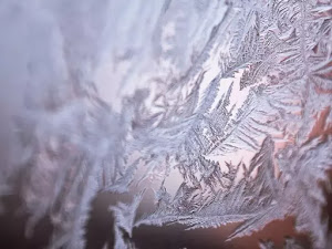 fondo de invierno-10