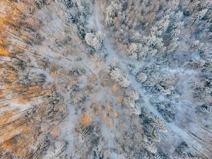 escritorio-invierno-fondo de pantalla-13