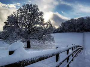 invierno-fondo-computadora-14