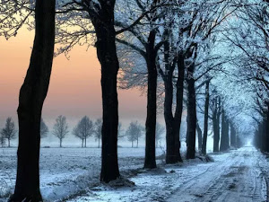 invierno-17-fondo-de-escritorio