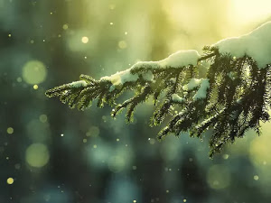 invierno-20-fondo-de-escritorio