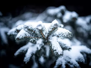 invierno-fondo-escritorio-21