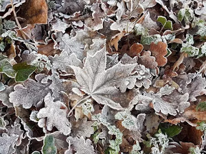 papel pintado de invierno 29